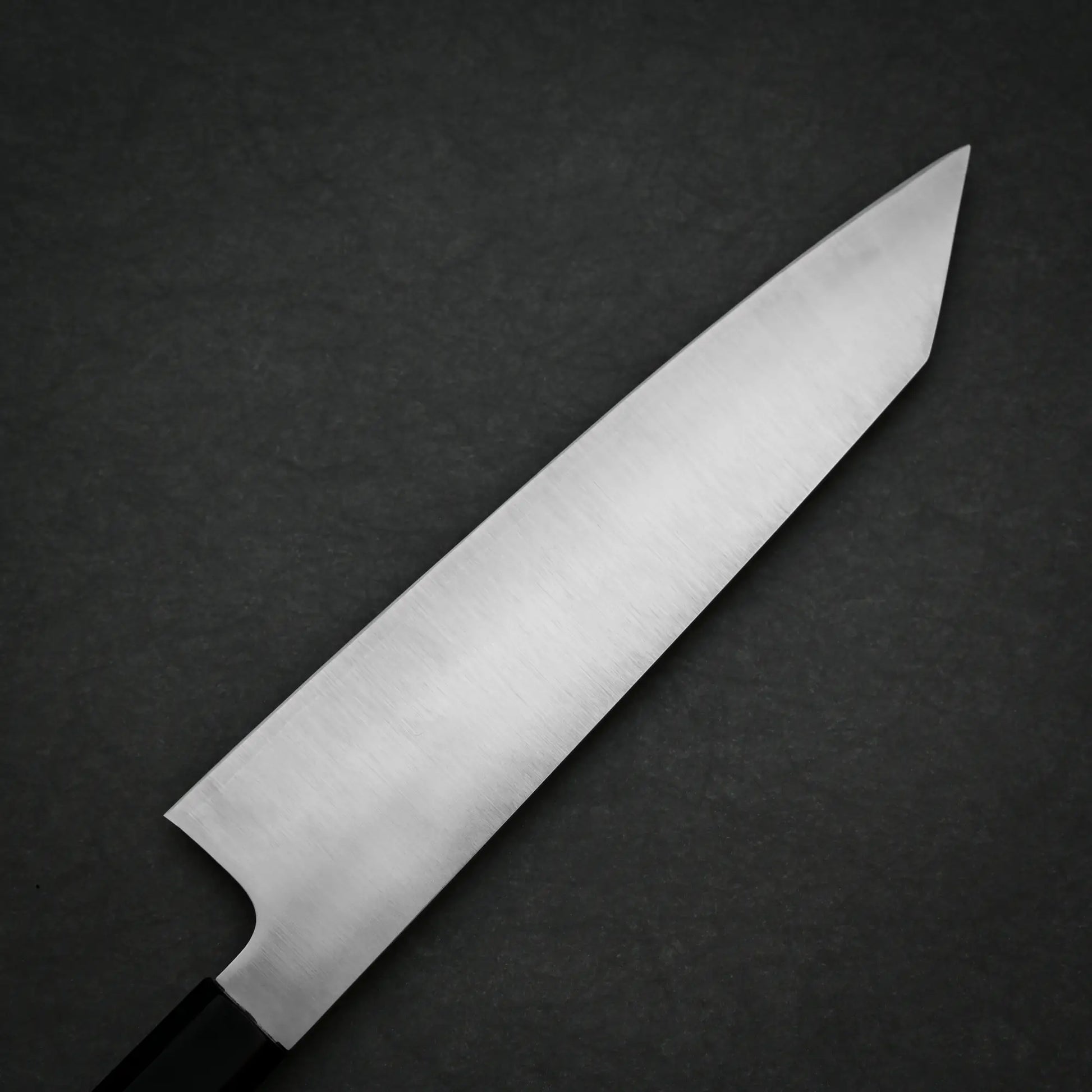 210mm Hatsukokoro FAXR2 kirituske gyuto knife left side view showing polished finish