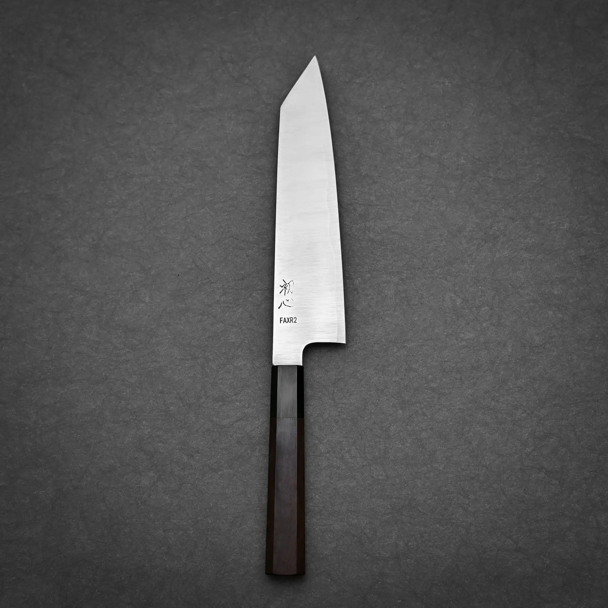 210mm Hatsukokoro FAXR2 kirituske gyuto knife showing full profile view