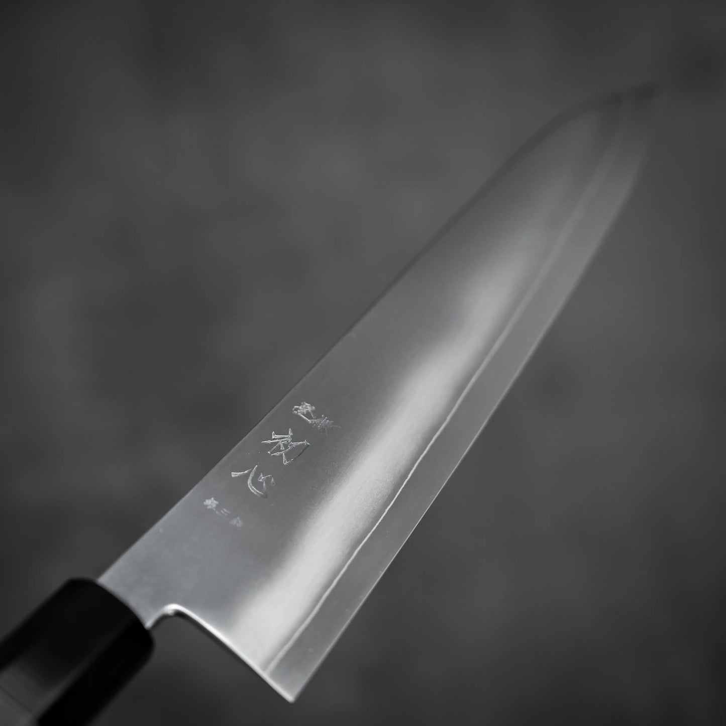 Hatsukokoro Ginso ginsan gyuto 240mm