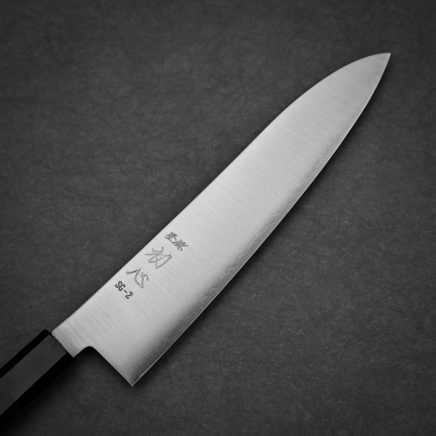 210mm Hatsukokoro Hayabusa SG2 gyuto knife right side view showing polished finish