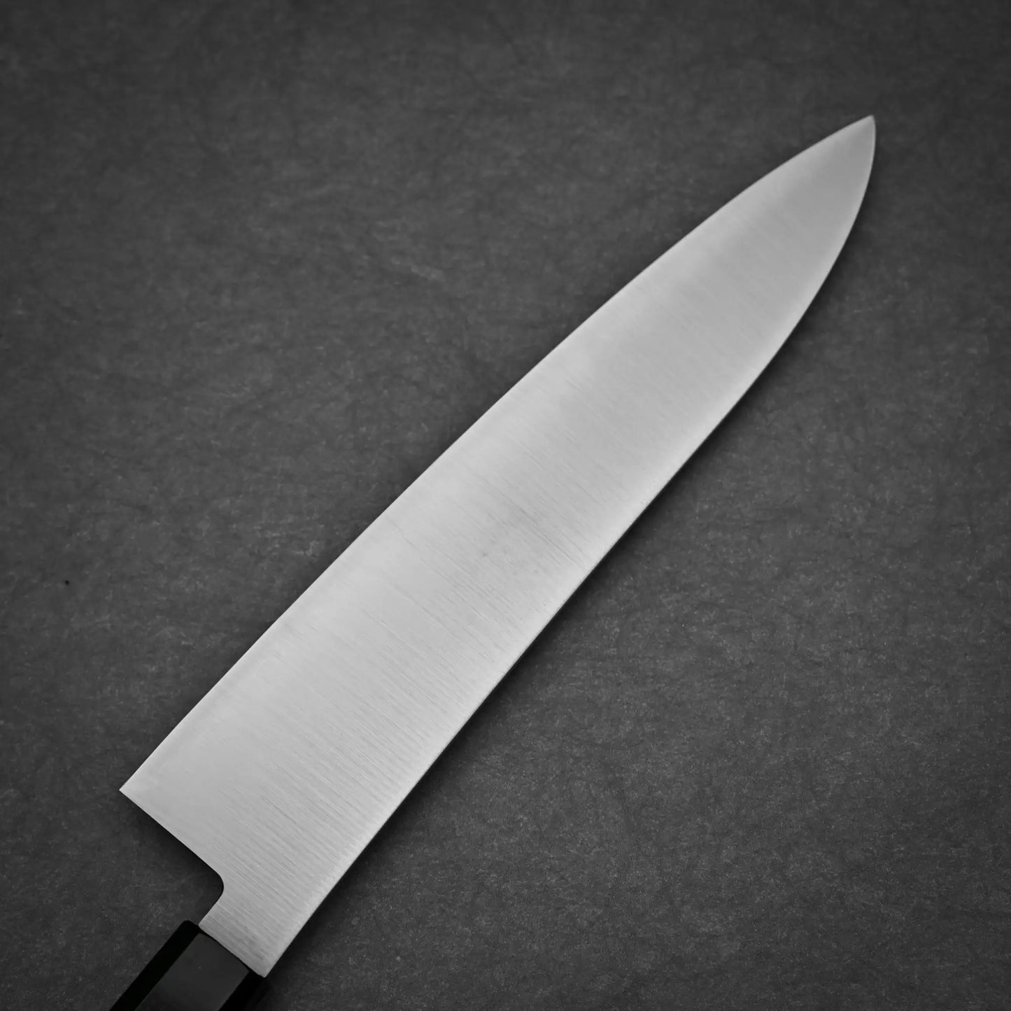 210mm Hatsukokoro Hayabusa SG2 gyuto knife left side view