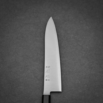 210mm Hatsukokoro Hayabusa SG2 gyuto knife primary side view 