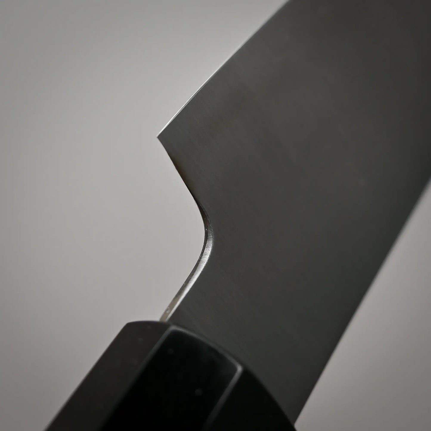 Close-up view of the choil of 120mm Hatsukokoro Hayabusa SG2 petty knife