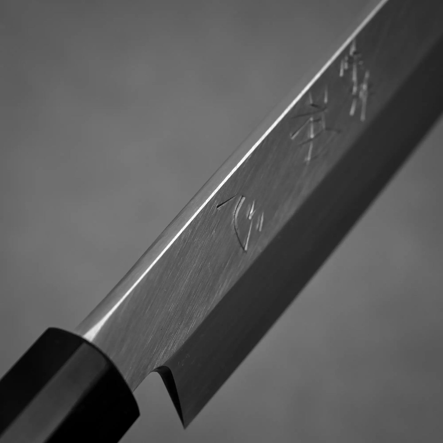 Close-up shot of the spine of 270mm Hatsukokoro Shirasagi ginsan yanagiba knife