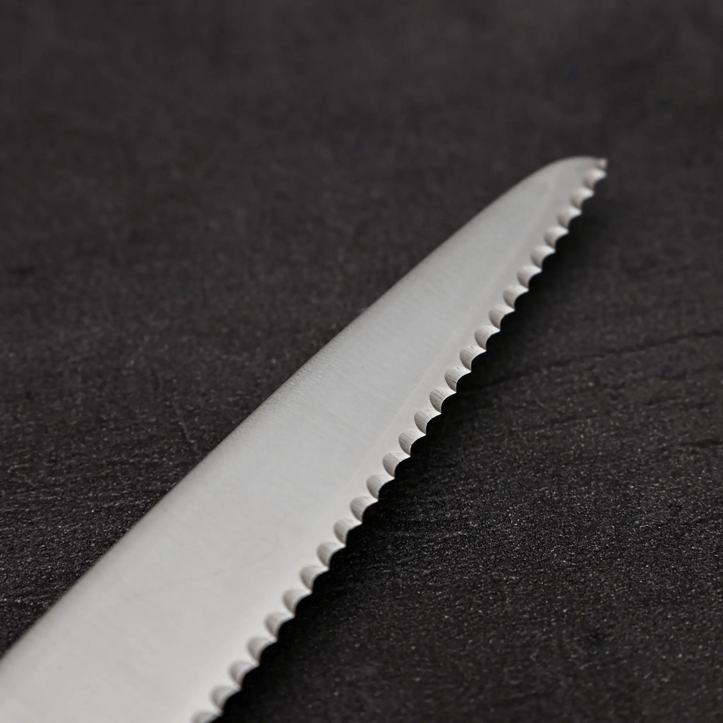 Fujitora (Tojiro) all-stainless bread knife 215mm