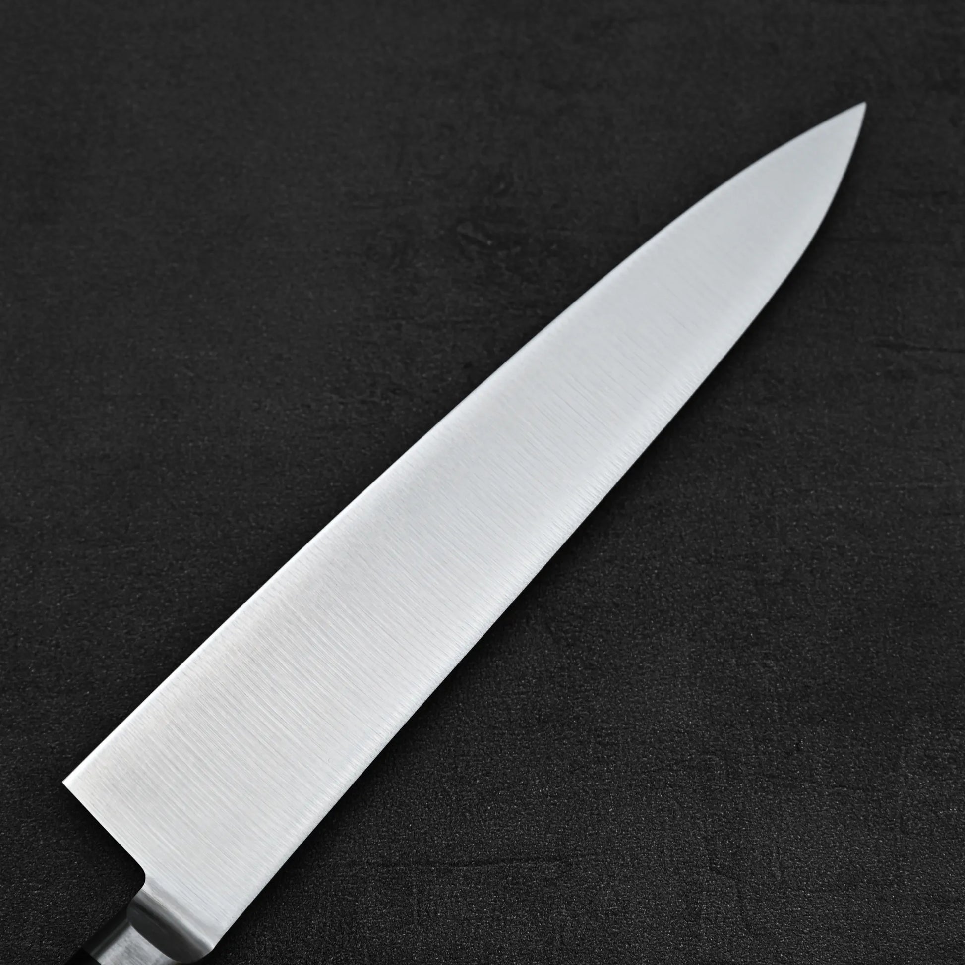 Close up view of the back side of Misono Molybdenum gyuto knife 210mm