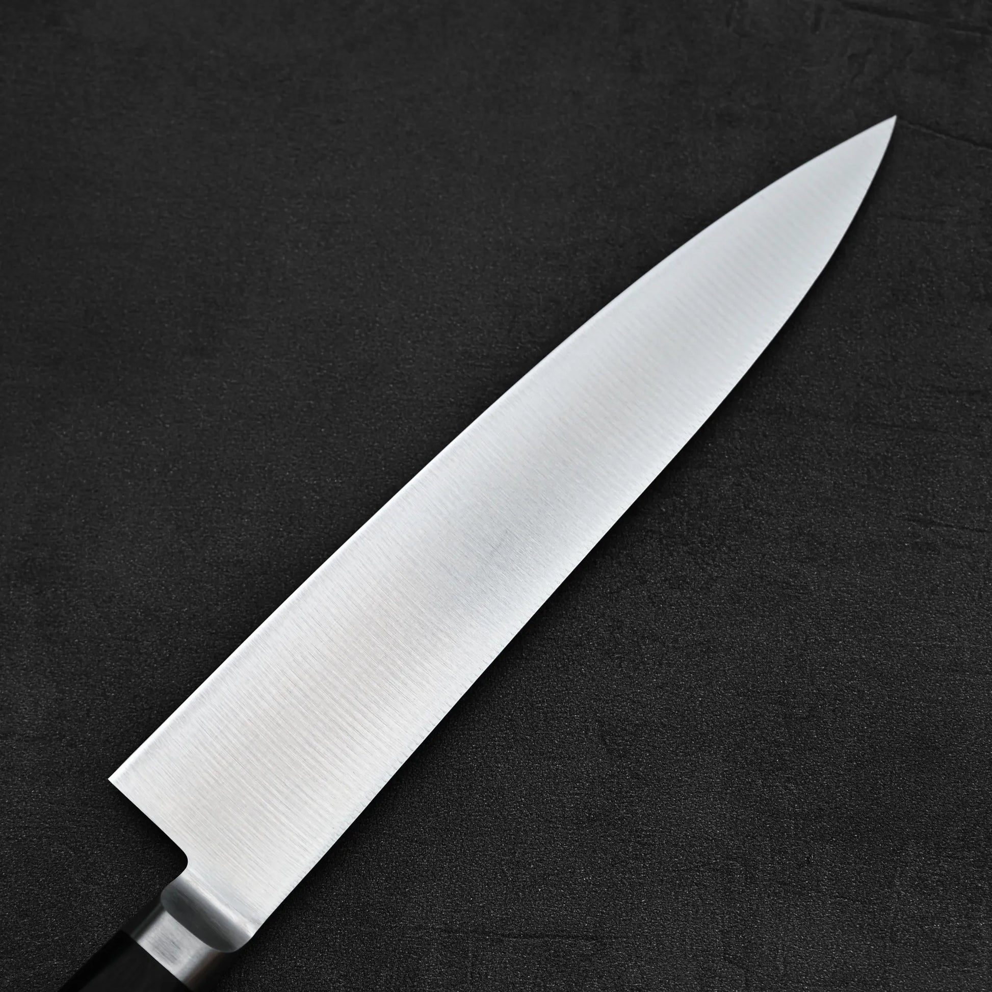 Close up view of the back side of Misono molybdenum steel series gyuto knife 240mm