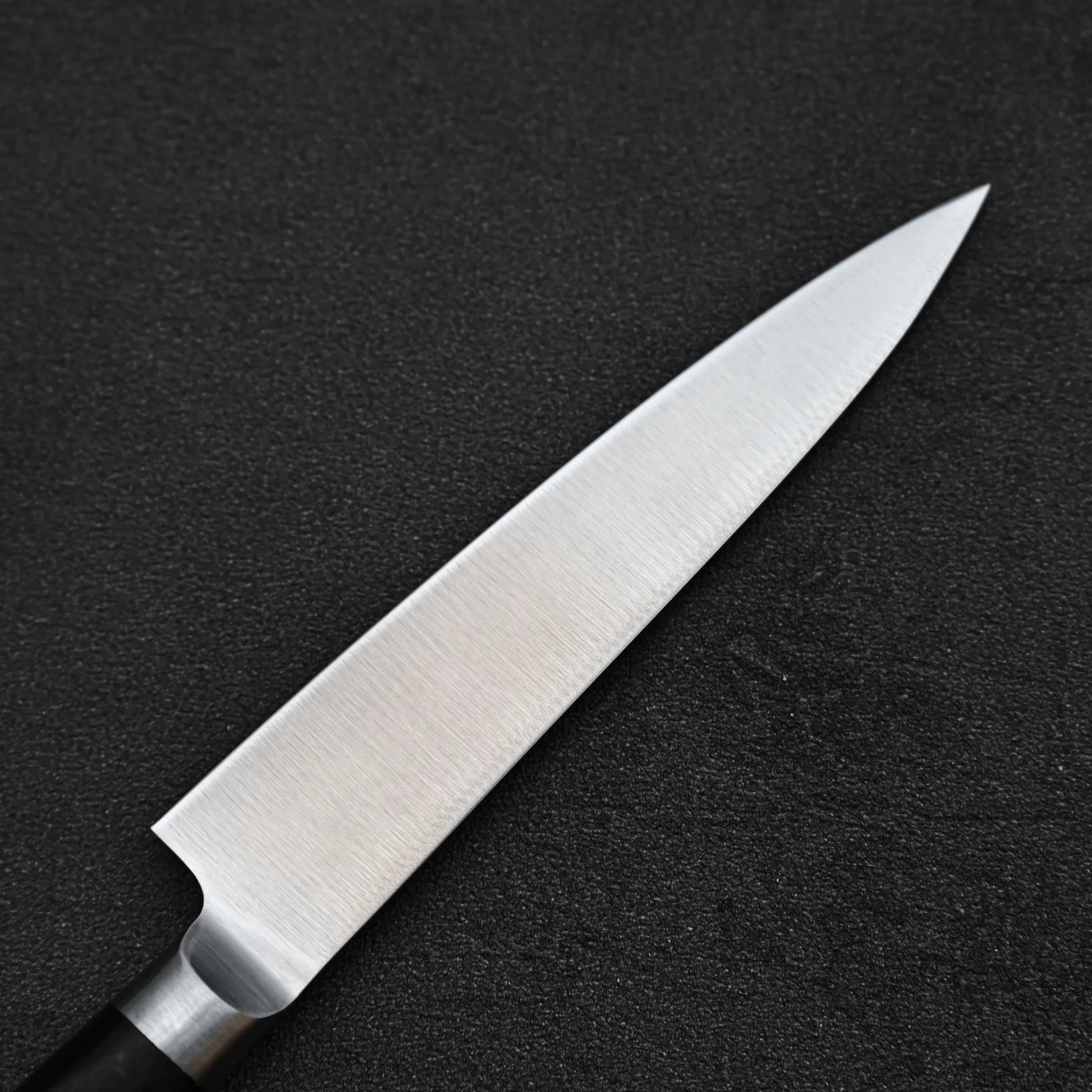 Close up view of the back side of Misono Molybdenum petty knife 120mm