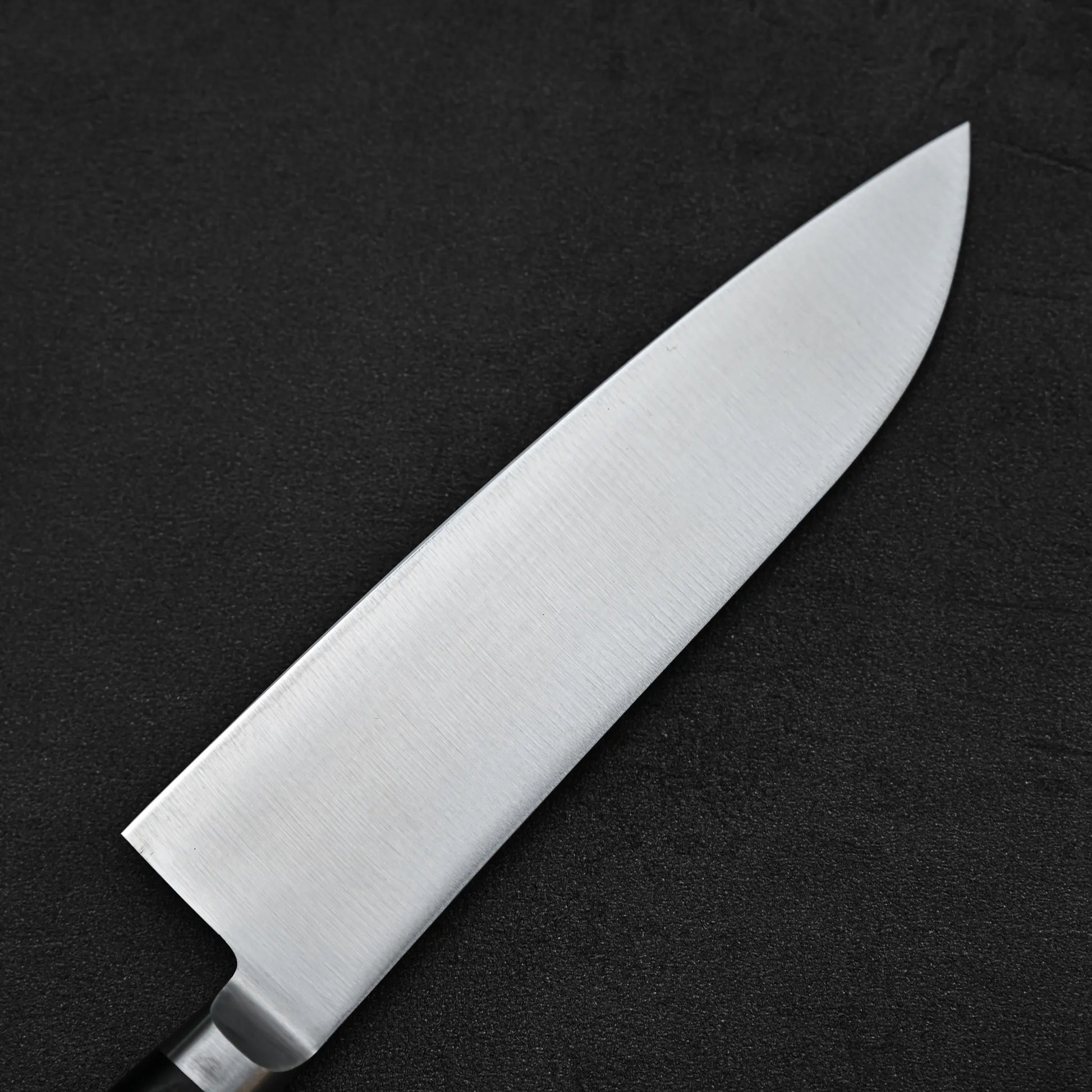 Close up view of the back side of Misono Molybdenum santoku knife 180mm