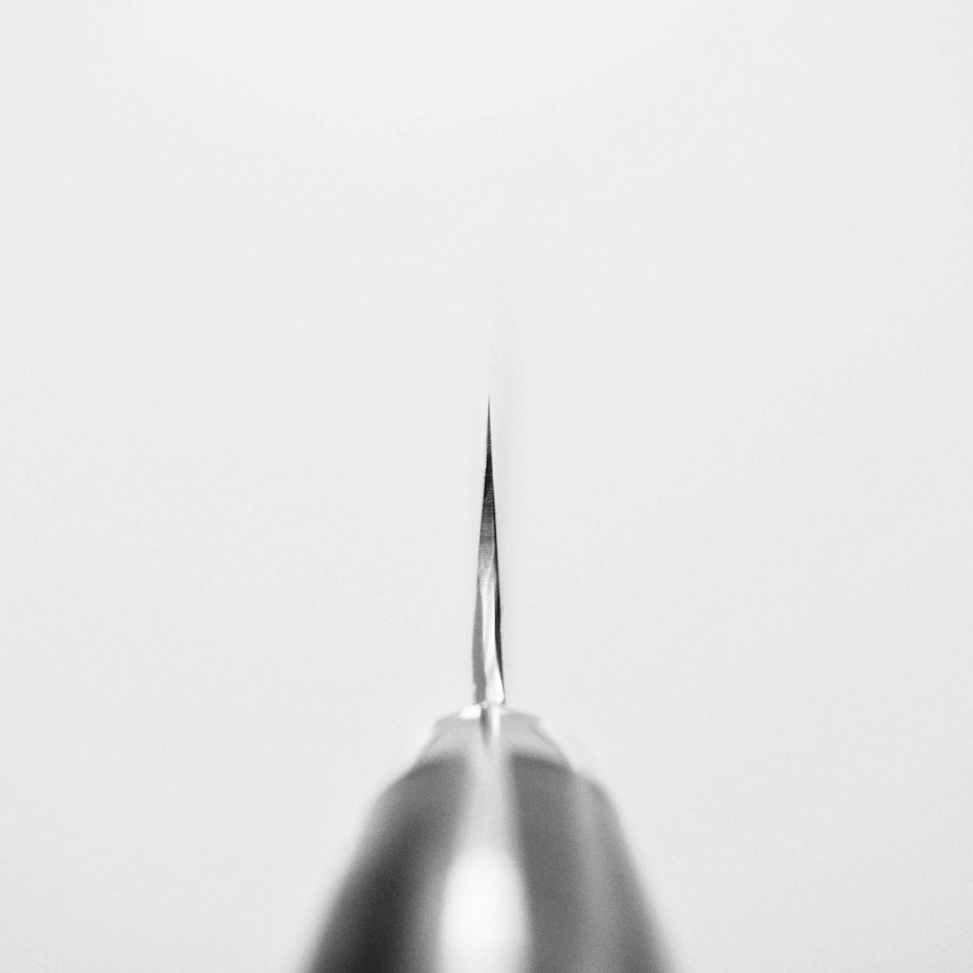 Choil shot of Nigara tsuchime SG2 petty knife 150mm