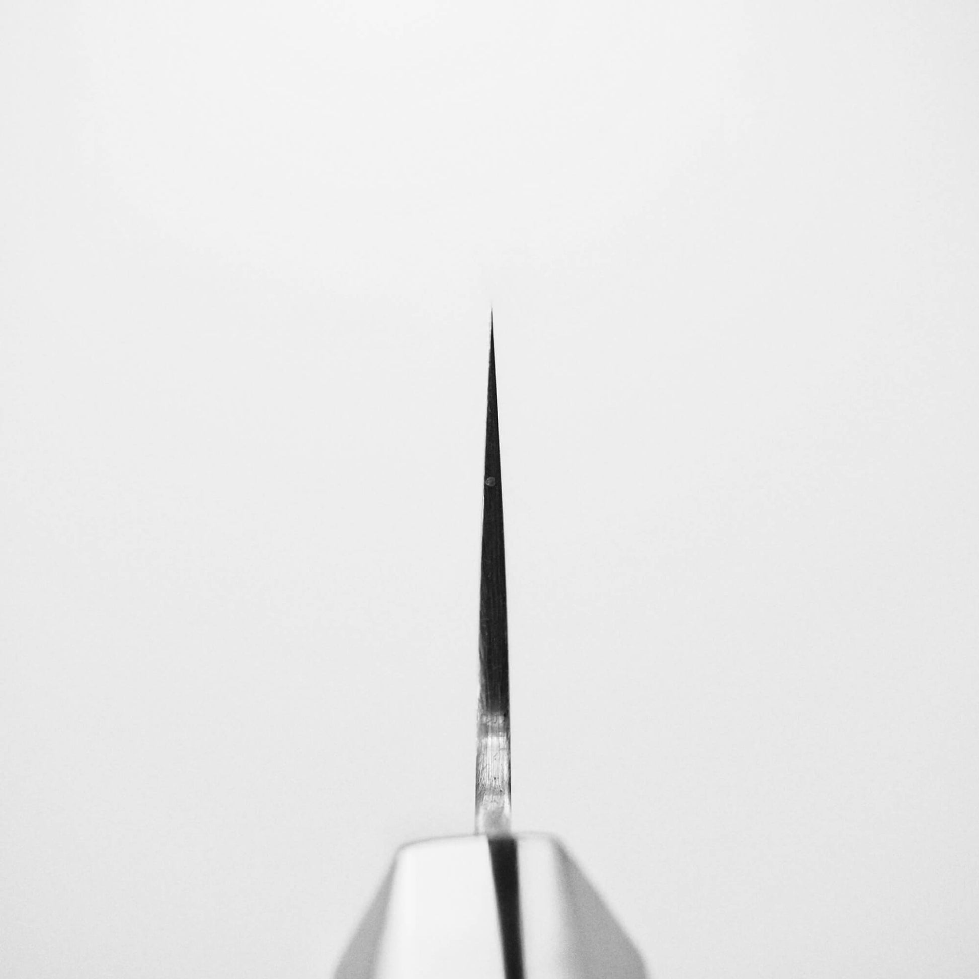 Choil shot of 240mm Sukenari ZDP189 gyuto knife