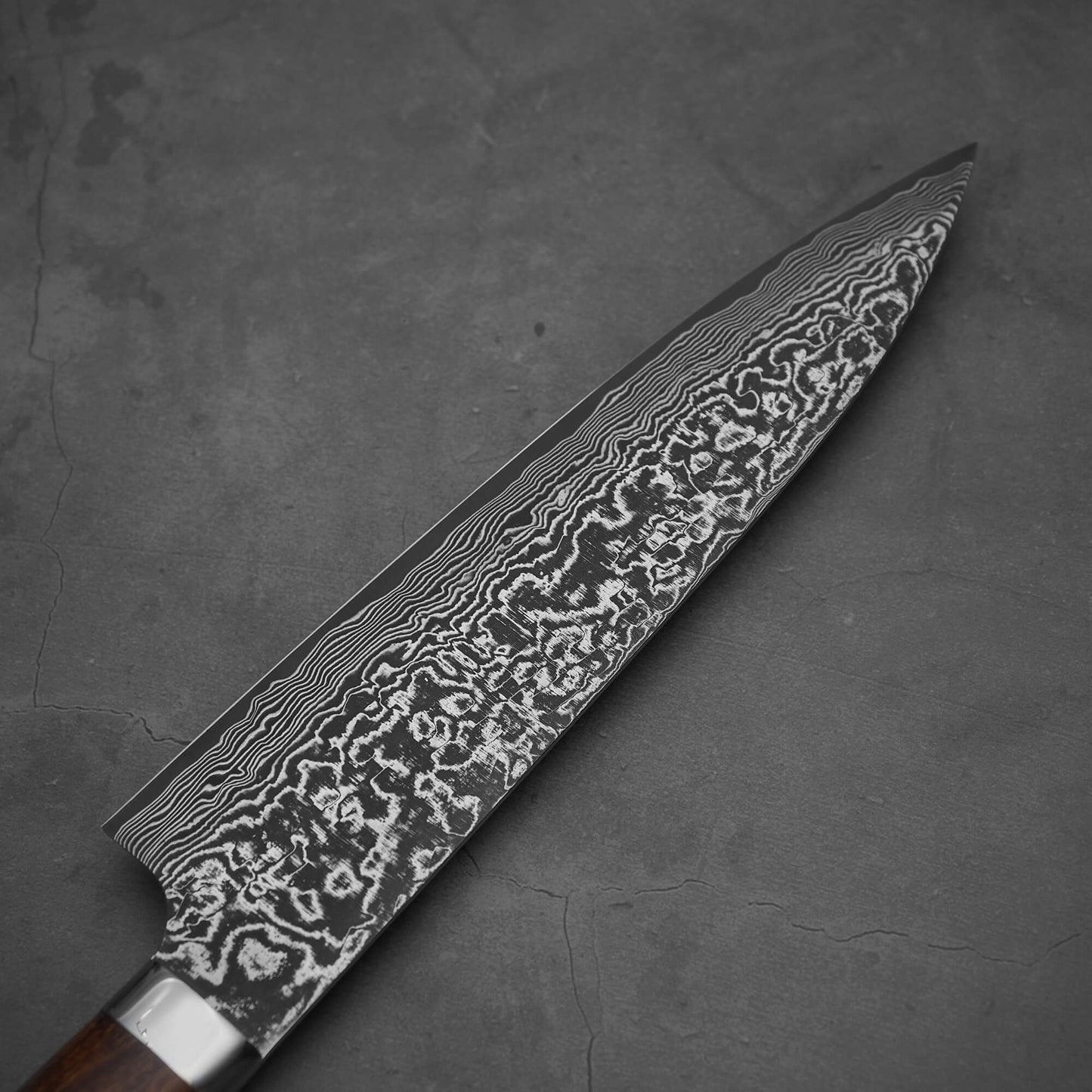 Takeshi Saji black damascus SG2 gyuto ironwood 210mm