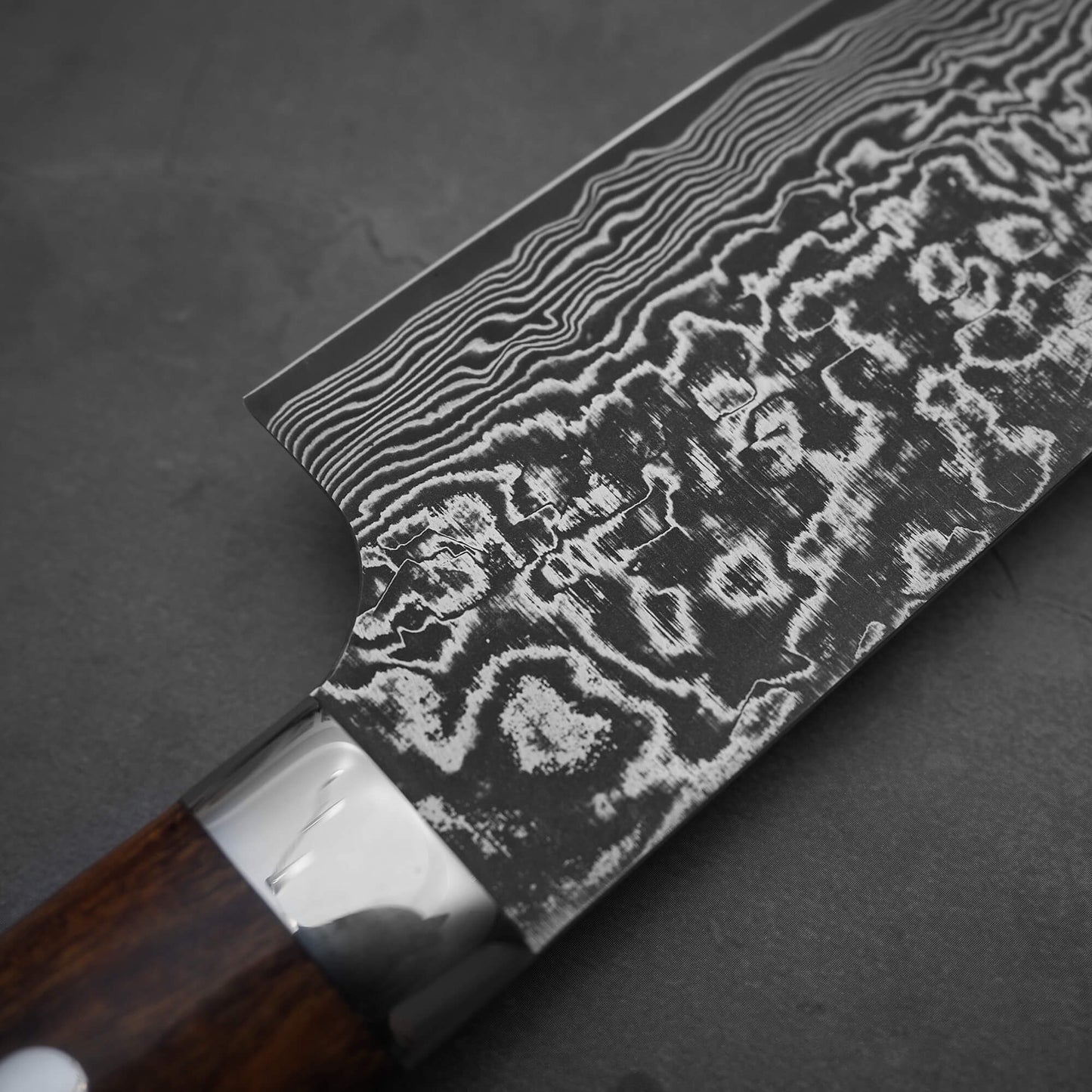 Takeshi Saji black damascus SG2 gyuto ironwood 210mm