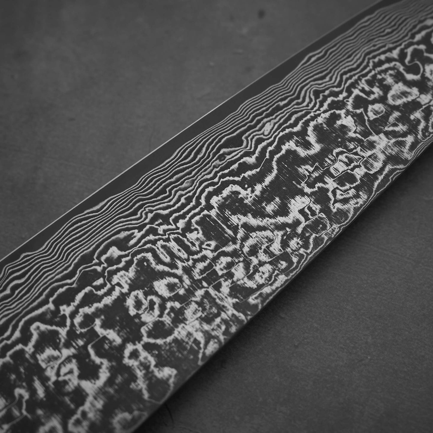 Takeshi Saji black damascus SG2 gyuto ironwood 210mm