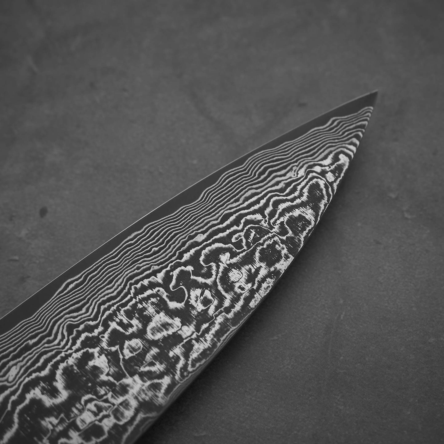 Takeshi Saji black damascus SG2 gyuto ironwood 210mm