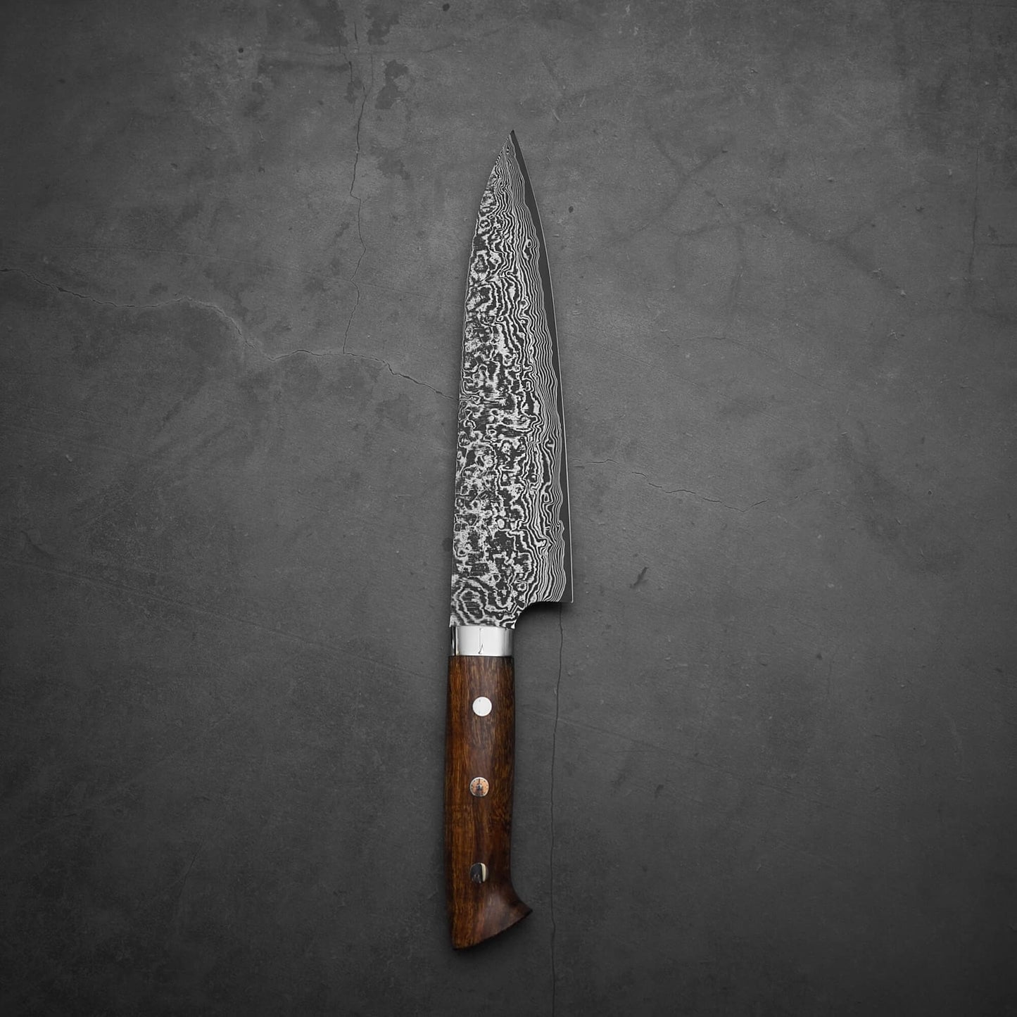 Takeshi Saji black damascus SG2 gyuto ironwood 210mm