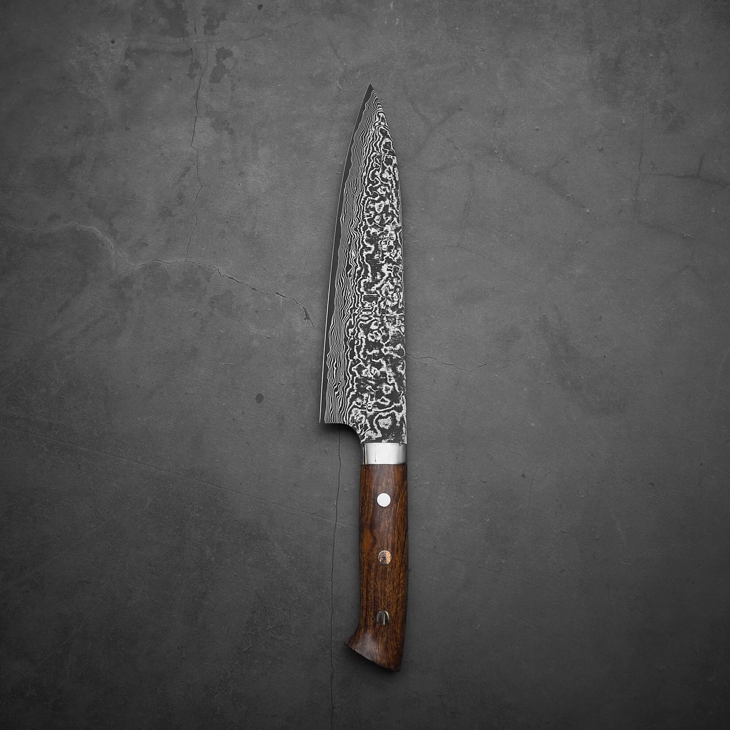 Takeshi Saji black damascus SG2 gyuto ironwood 210mm