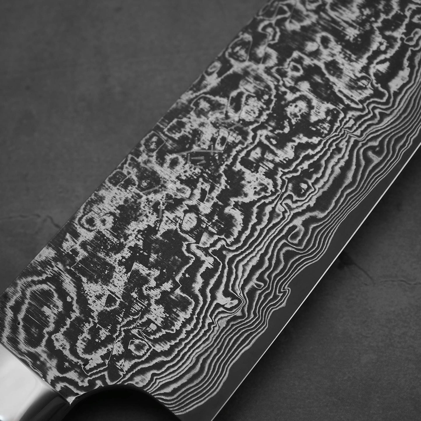 Takeshi Saji black damascus SG2 gyuto ironwood 210mm