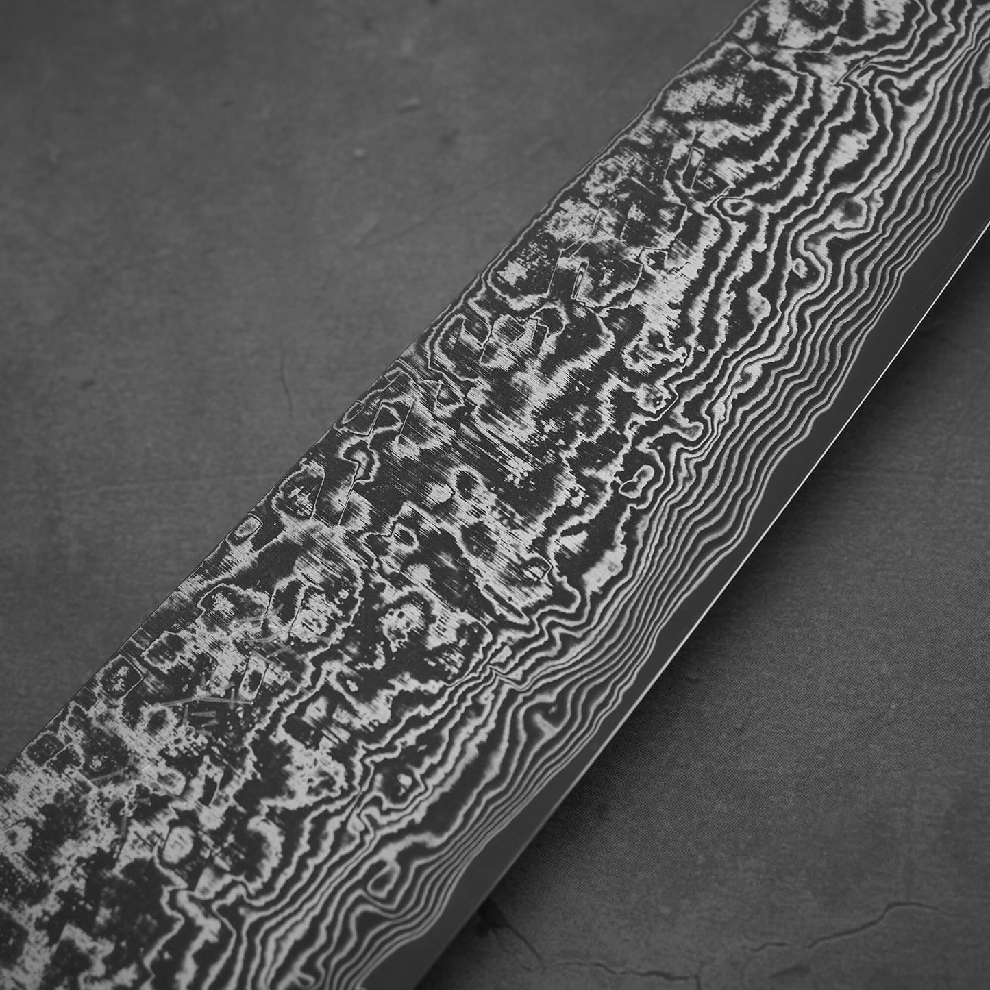 Takeshi Saji black damascus SG2 gyuto ironwood 210mm