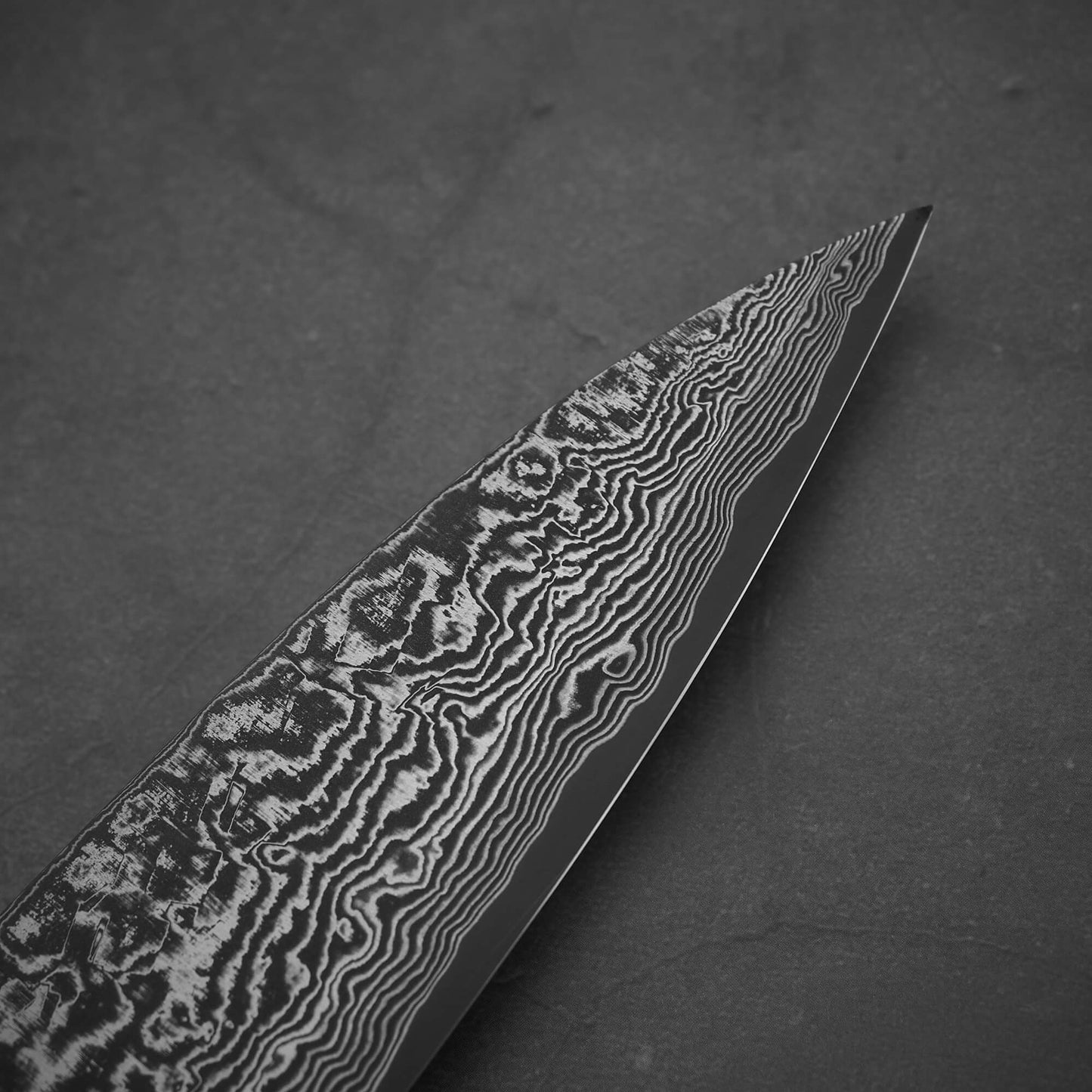 Takeshi Saji black damascus SG2 gyuto ironwood 210mm