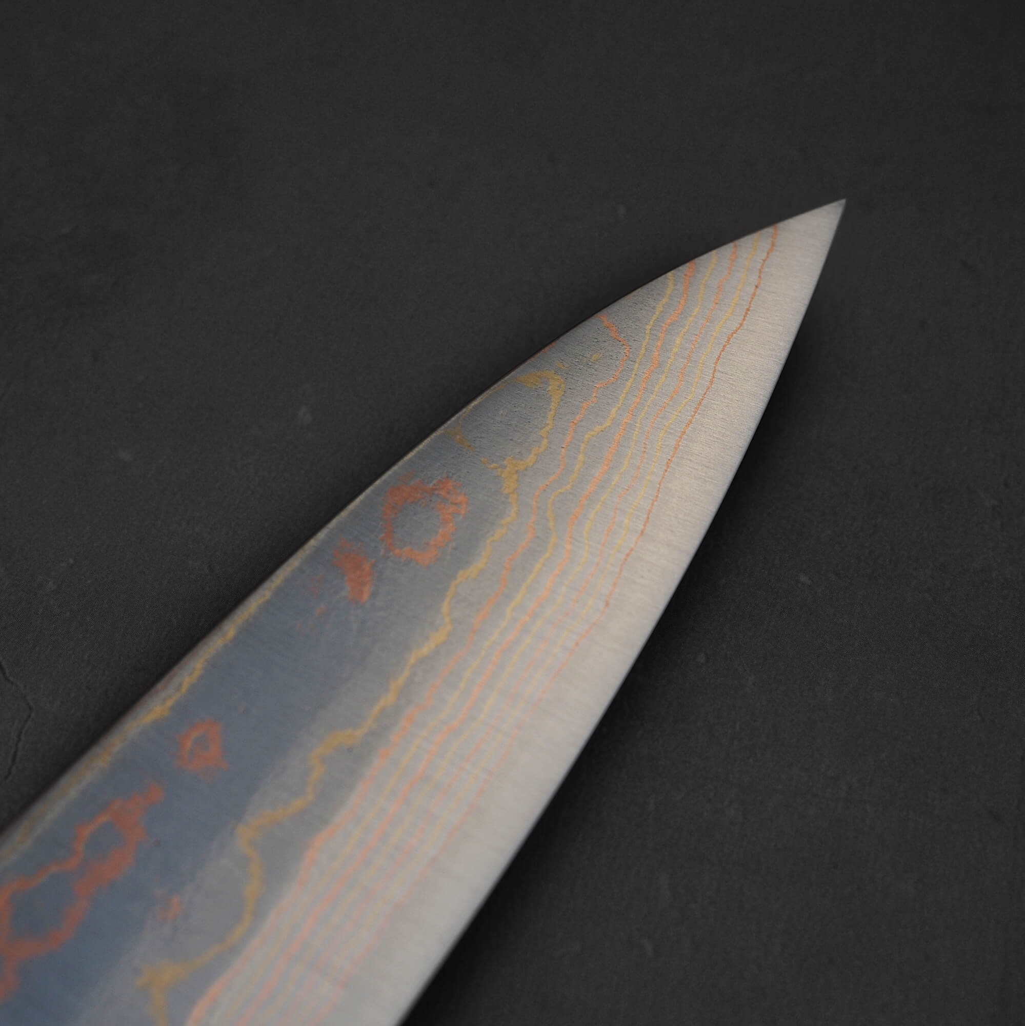 Takeshi Saji rainbow damascus aogami#2 gyuto stag handle 210mm