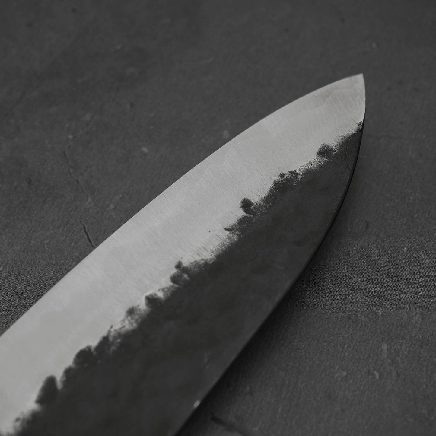 Teruyasu Fujiwara Denka gyuto 210mm