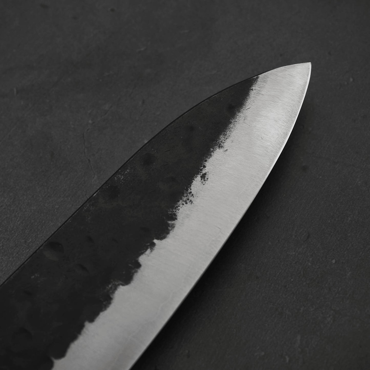 Teruyasu Fujiwara Denka gyuto 210mm