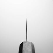 Choil shot of Hatsukokoro Hayabusa AS santoku knife