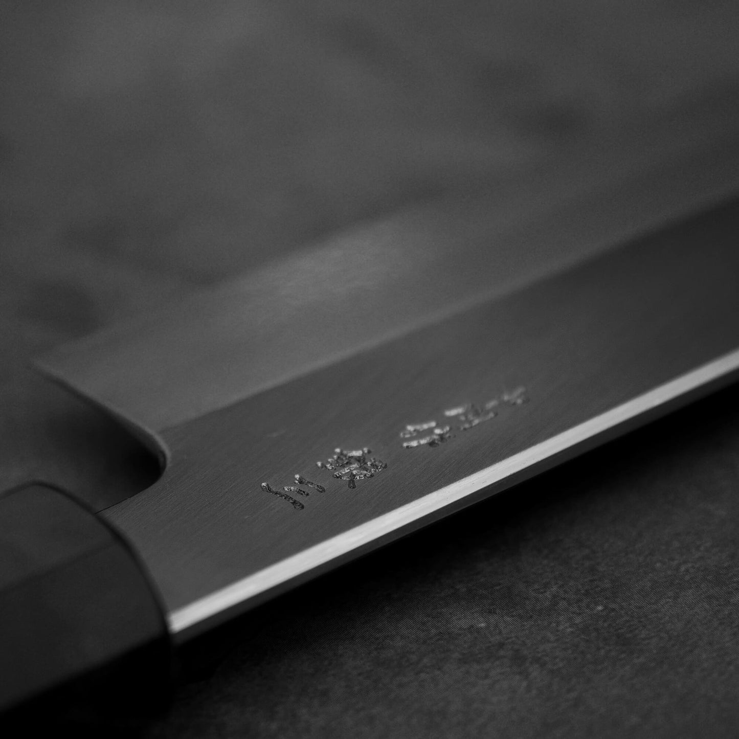 Close up view of the spine of Hatsukokoro Nakagawa ginsan kiritsuke gyuto knife