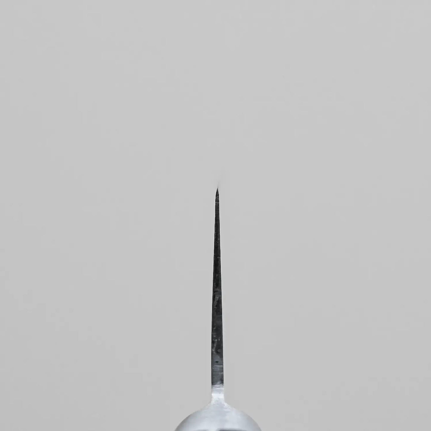 Choil shot of the Masahiro multipurpose knife showing the asymmetric grind
