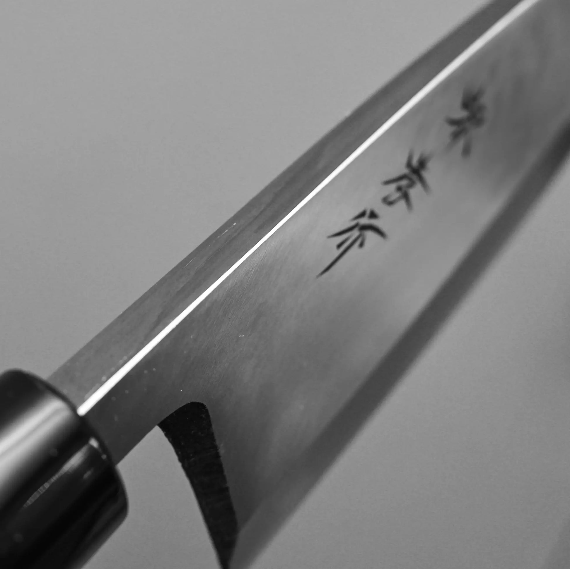 Close-up of the spine of 165mm Sakai Takayuki shirogami #3 deba knife