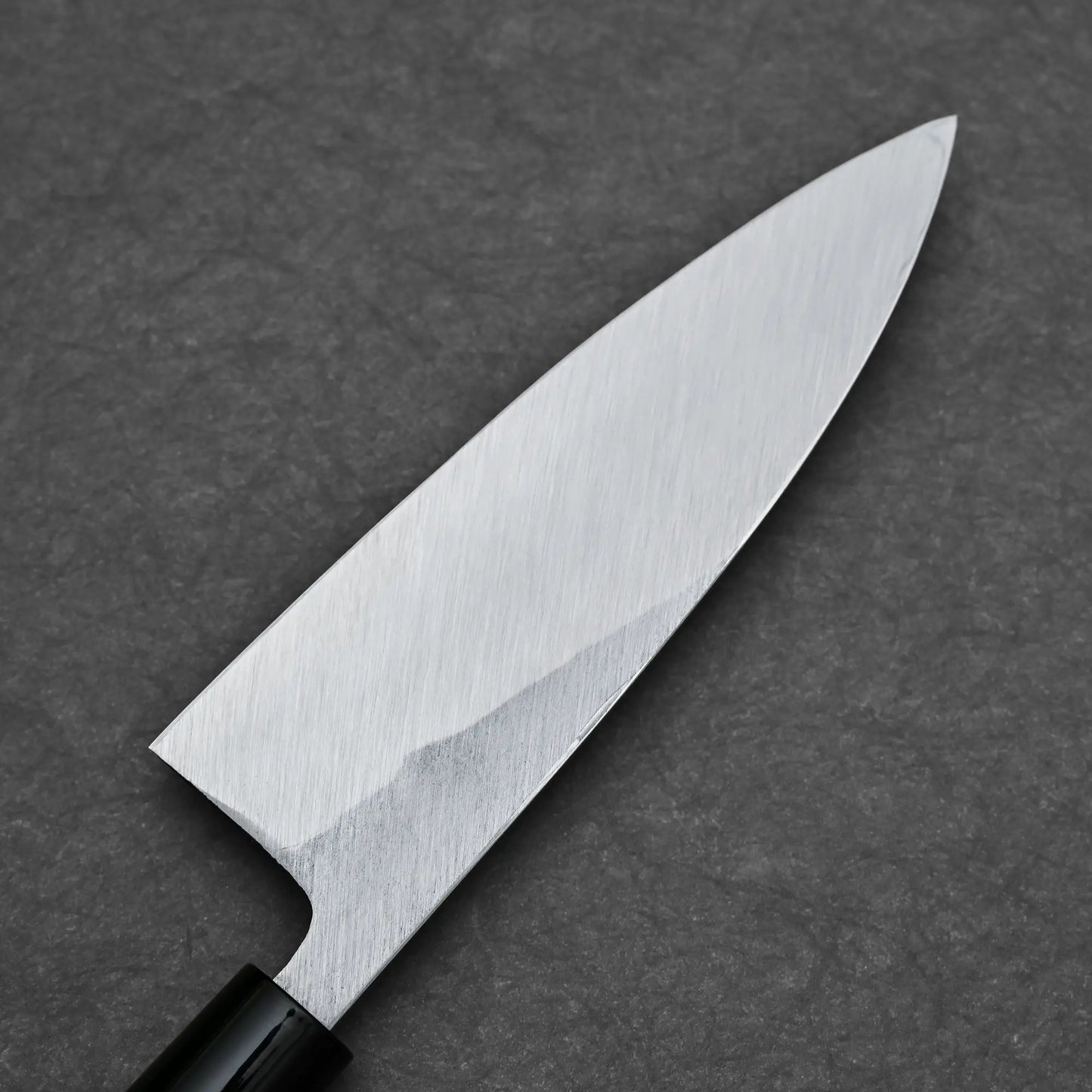 165mm Sakai Takayuki shirogami #3 deba knife left side view