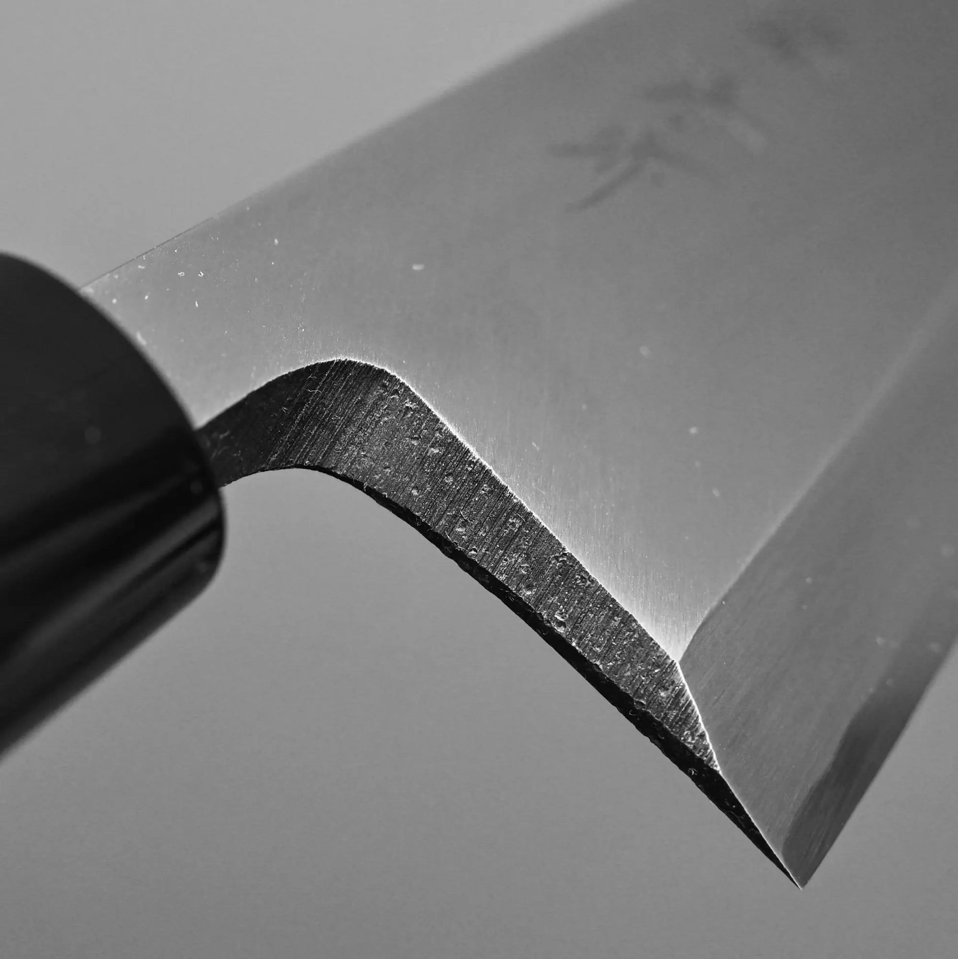 Close-up of the choil of 165mm Sakai Takayuki shirogami #3 deba knife