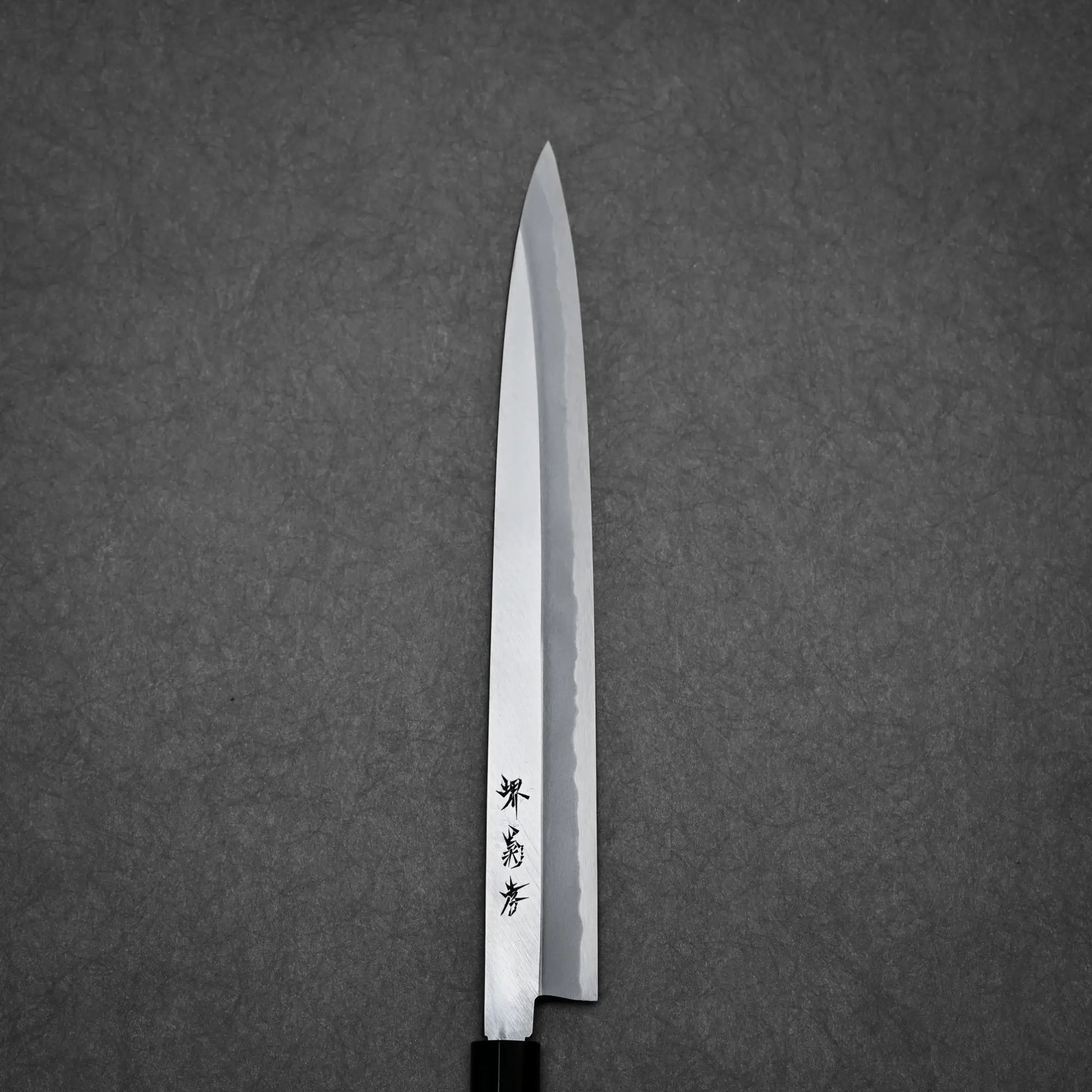 300mm Sakai Takayuki shirogami#3 yanagiba knife primary side view