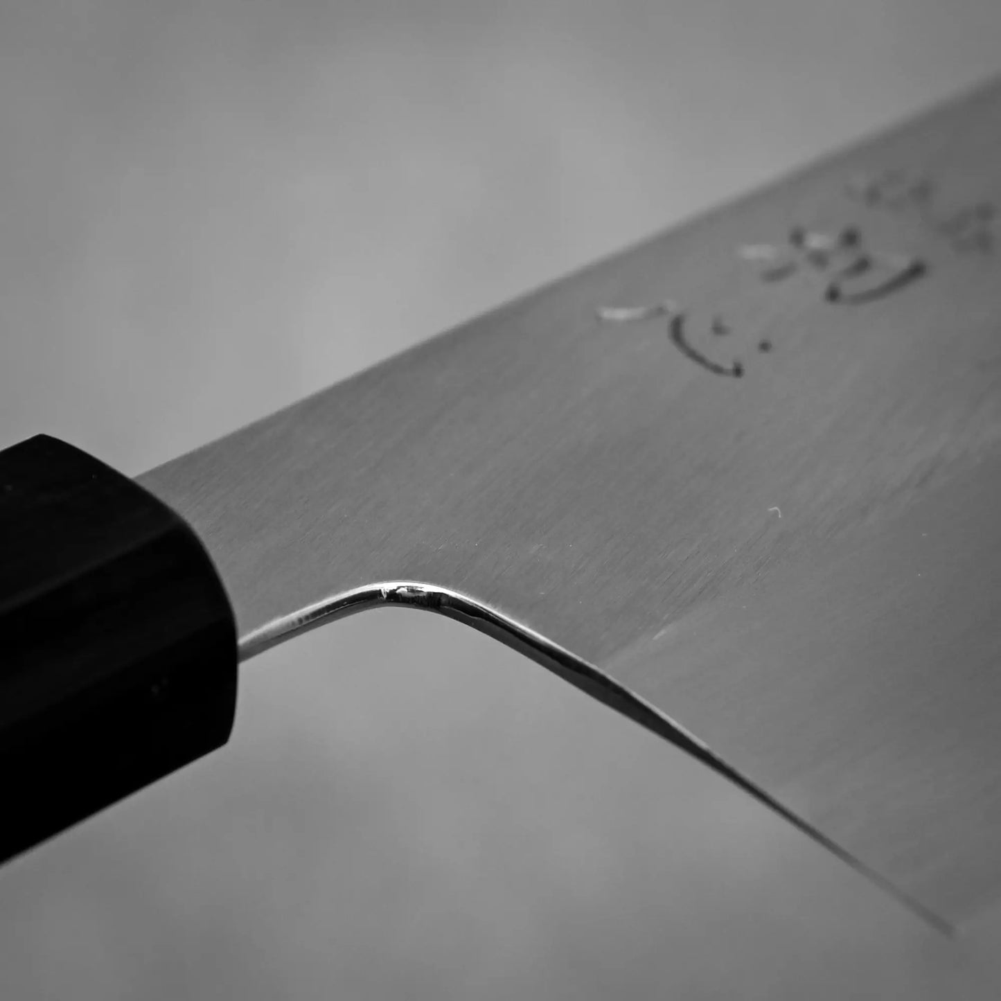 Close-up shot of the choil of Nakagawa knife aogami#1 210mm nakiri