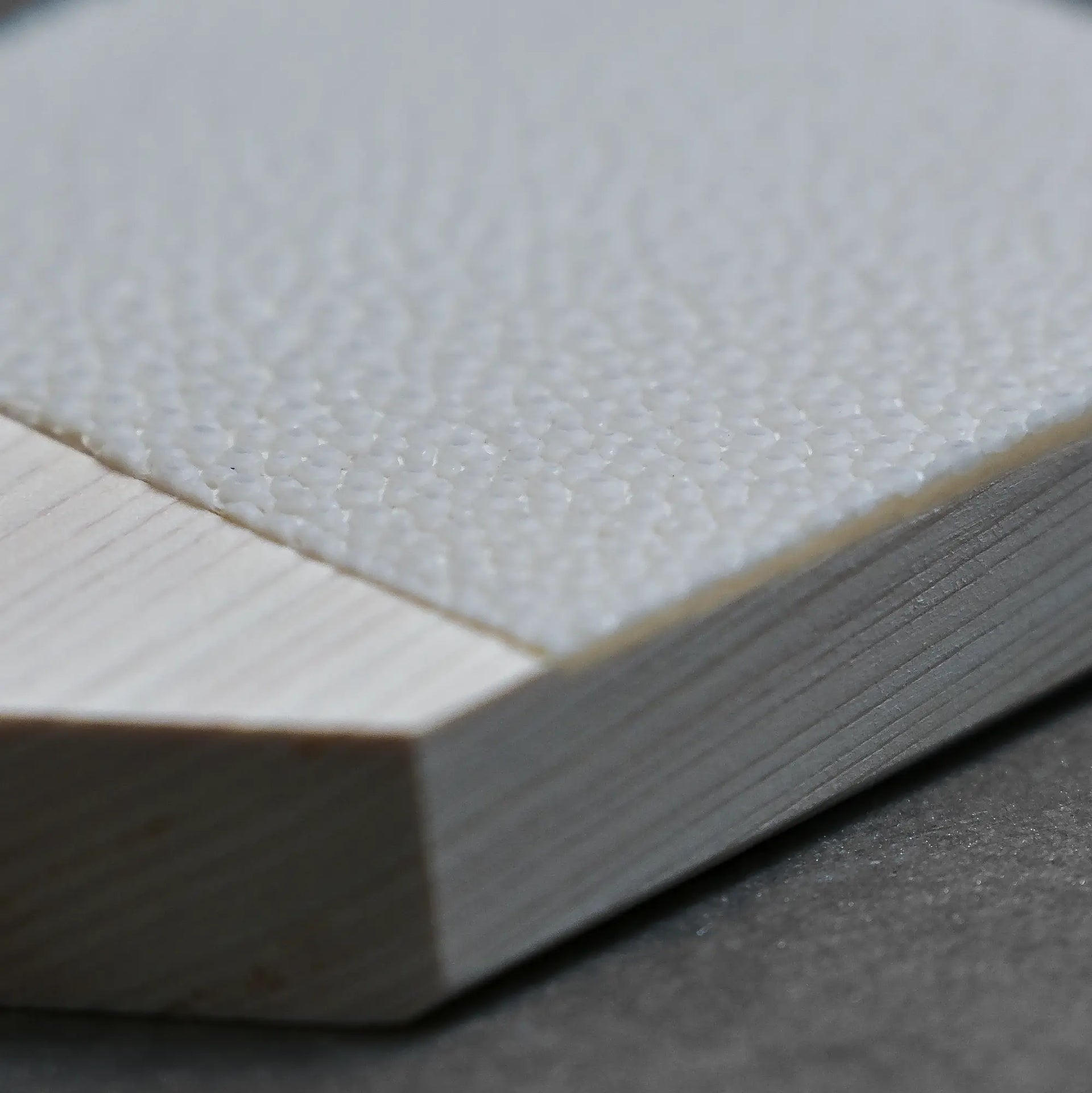 Sharkskin Wasabi Grater (Large) – Zahocho Knives Tokyo