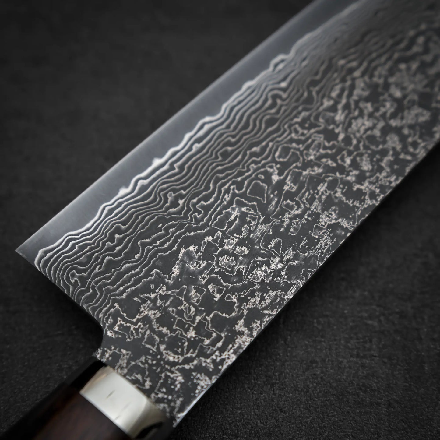 Macro shot of the back side of 240mm Shigeki Tanaka R2 damascus ironwood gyuto knife