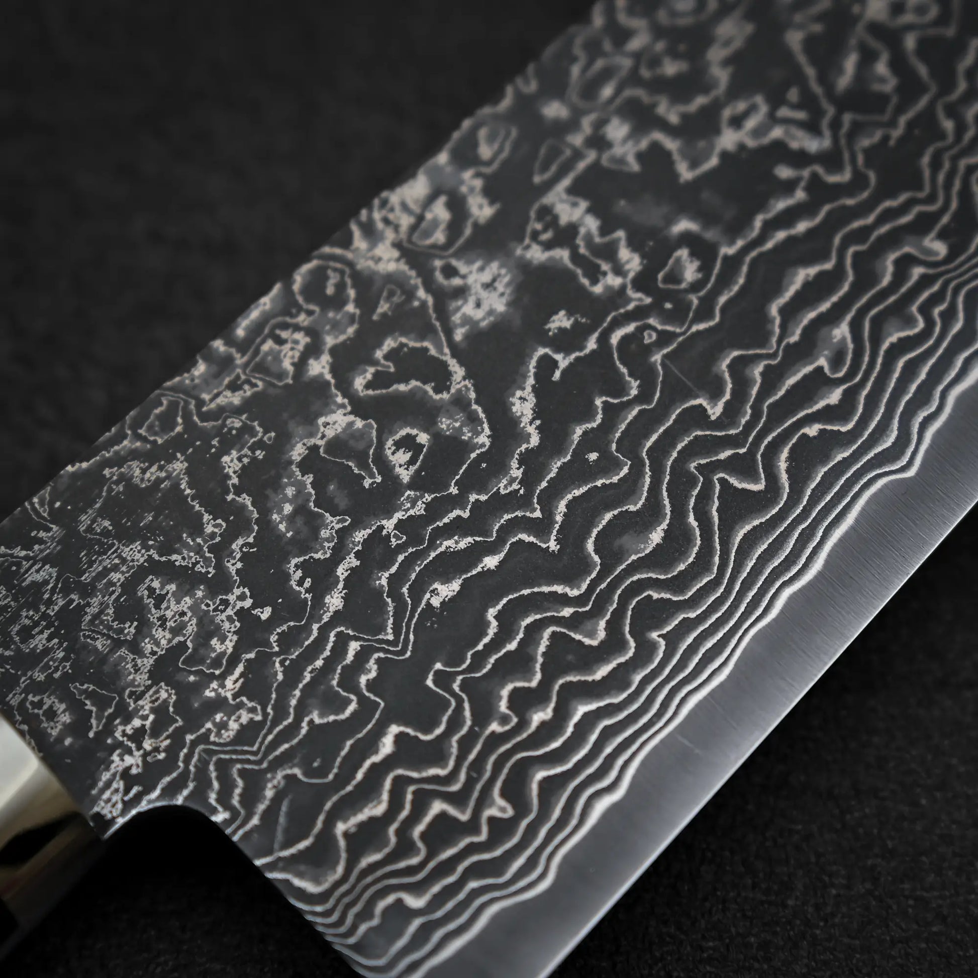 Macro shot of the front side of 240mm Shigeki Tanaka R2 damascus ironwood gyuto knife