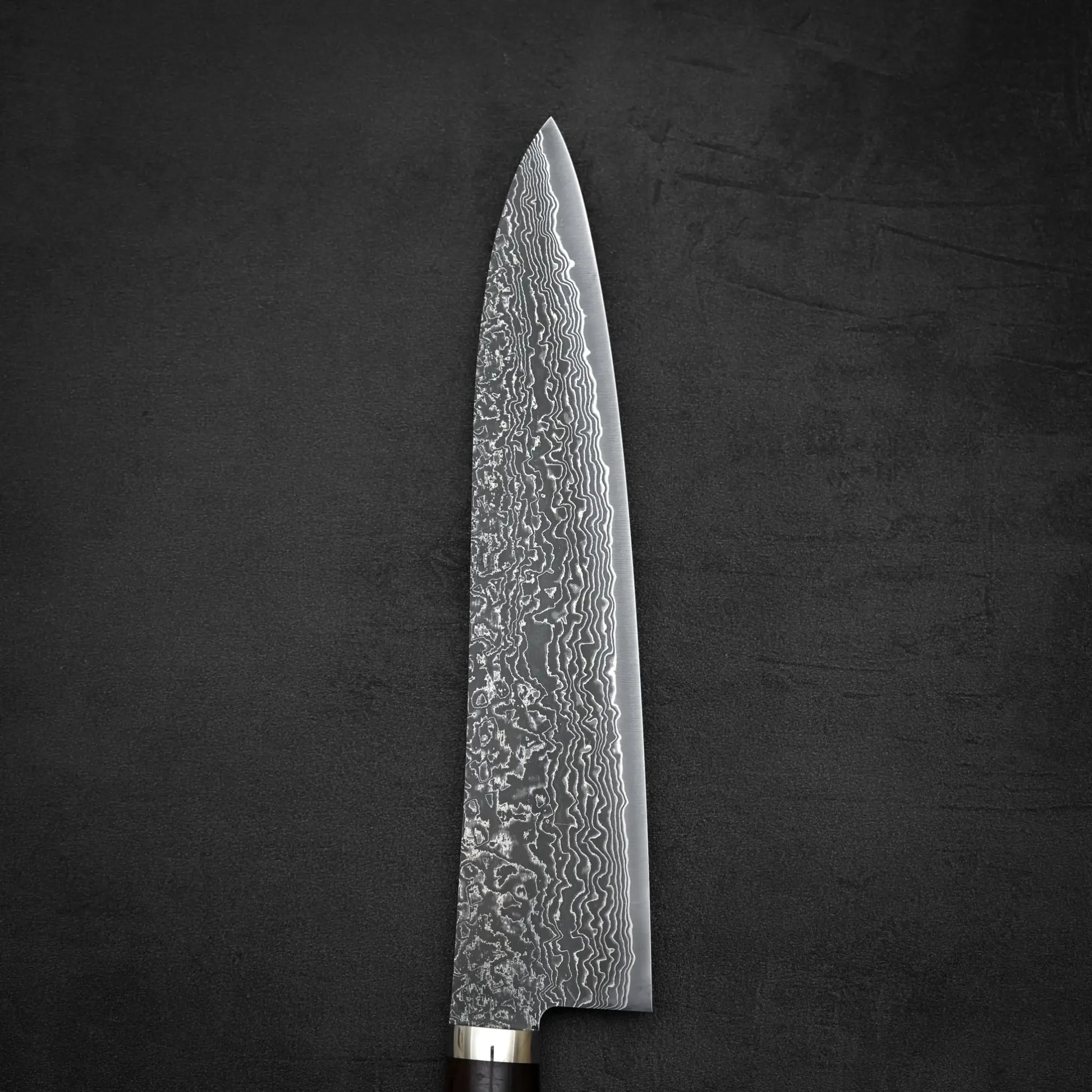 Close up view of the front side of 240mm Shigeki Tanaka R2 damascus ironwood gyuto knife in vertical position