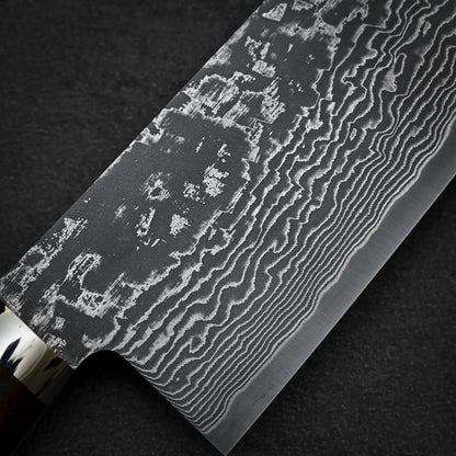 Macro shot of the front side of 270mm Shigeki Tanaka R2 damascus ironwood gyuto knife