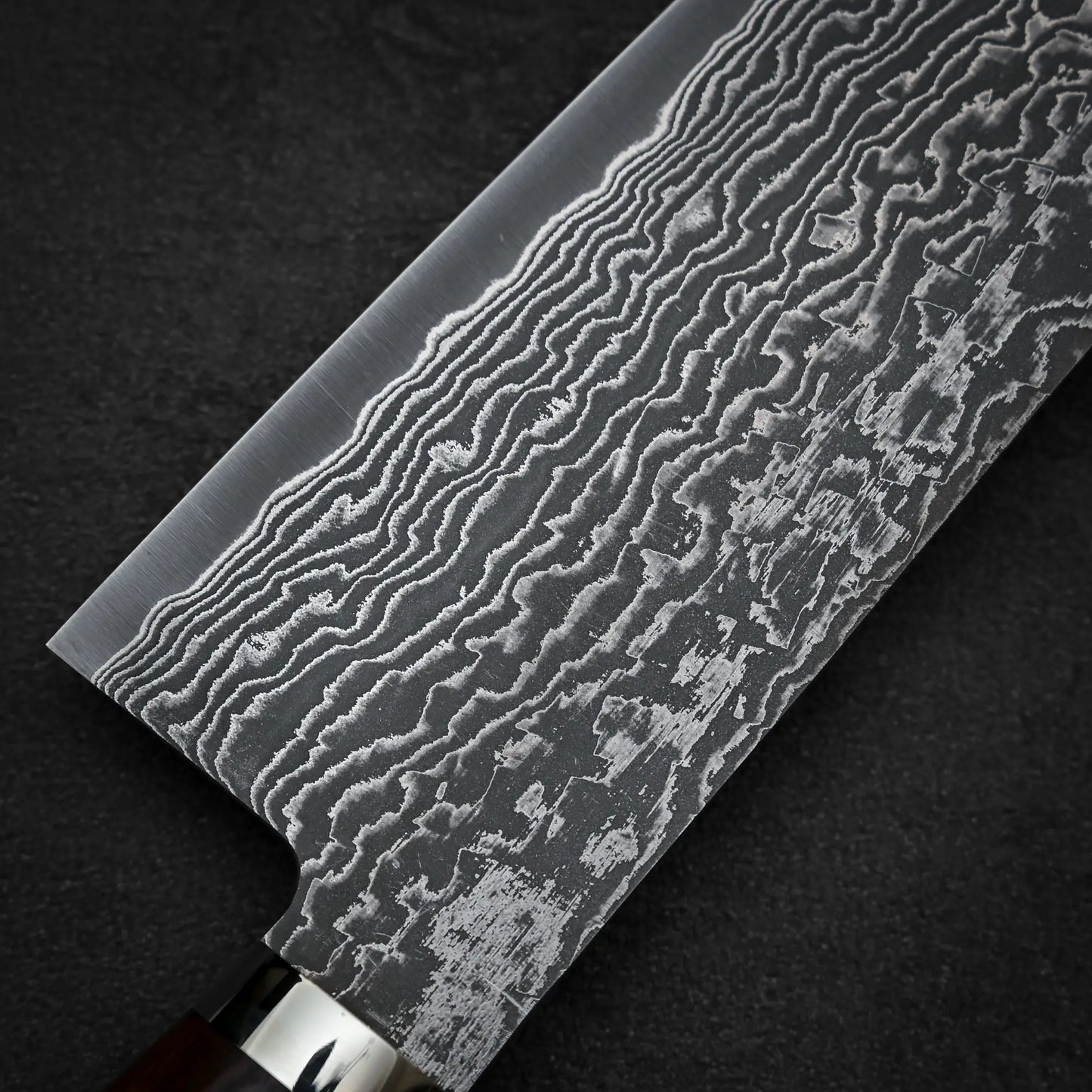 Macro shot of the back side of 270mm Shigeki Tanaka R2 damascus ironwood gyuto knife