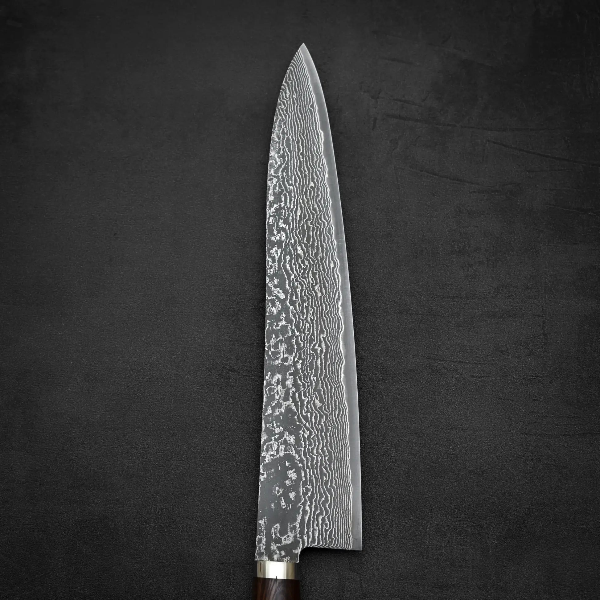 Close up view of the front side of 270mm Shigeki Tanaka R2 damascus ironwood gyuto knife in vertical position