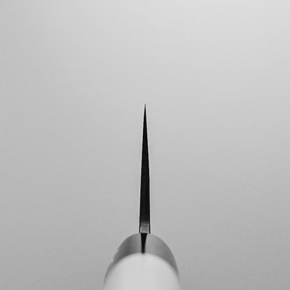 Toyama aogami #2 damascus 240mm gyuto