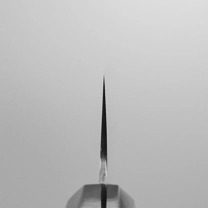 Sukenari ZDP189 kiritsuke gyuto 240mm