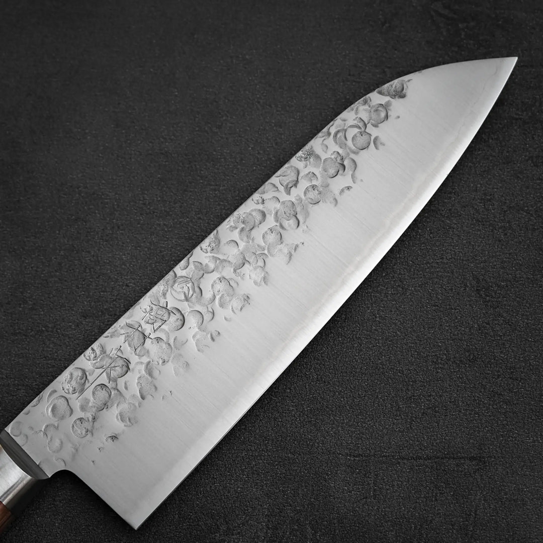 zahocho-takamura-chromax-