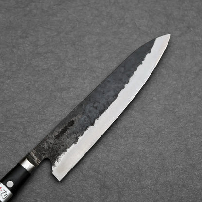 Teruyasu Fujiwara 240mm Denka gyuto knife right side view