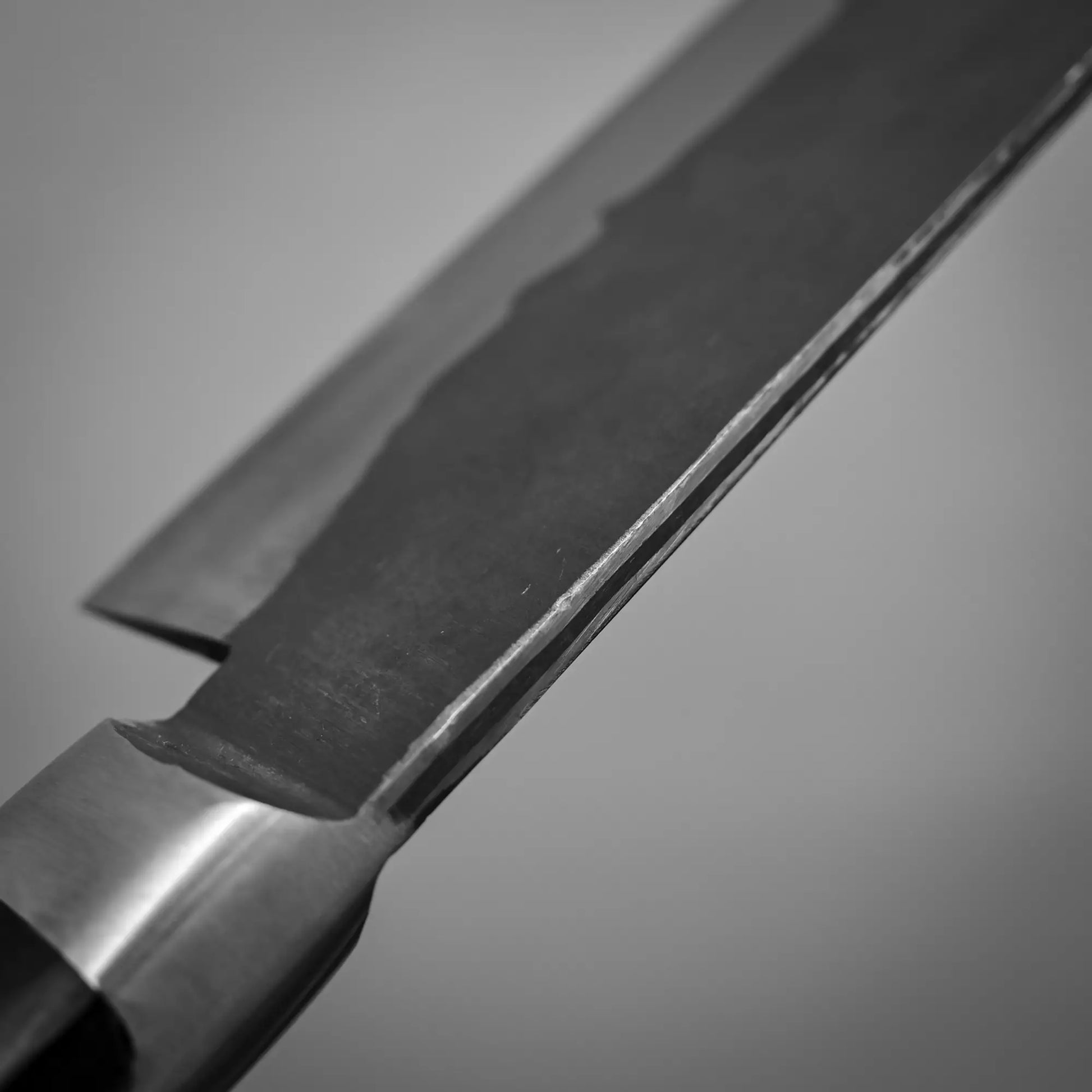 Close-up view of the spine of 240mm Teruyasu Fujiwara Denka sujihiki knife