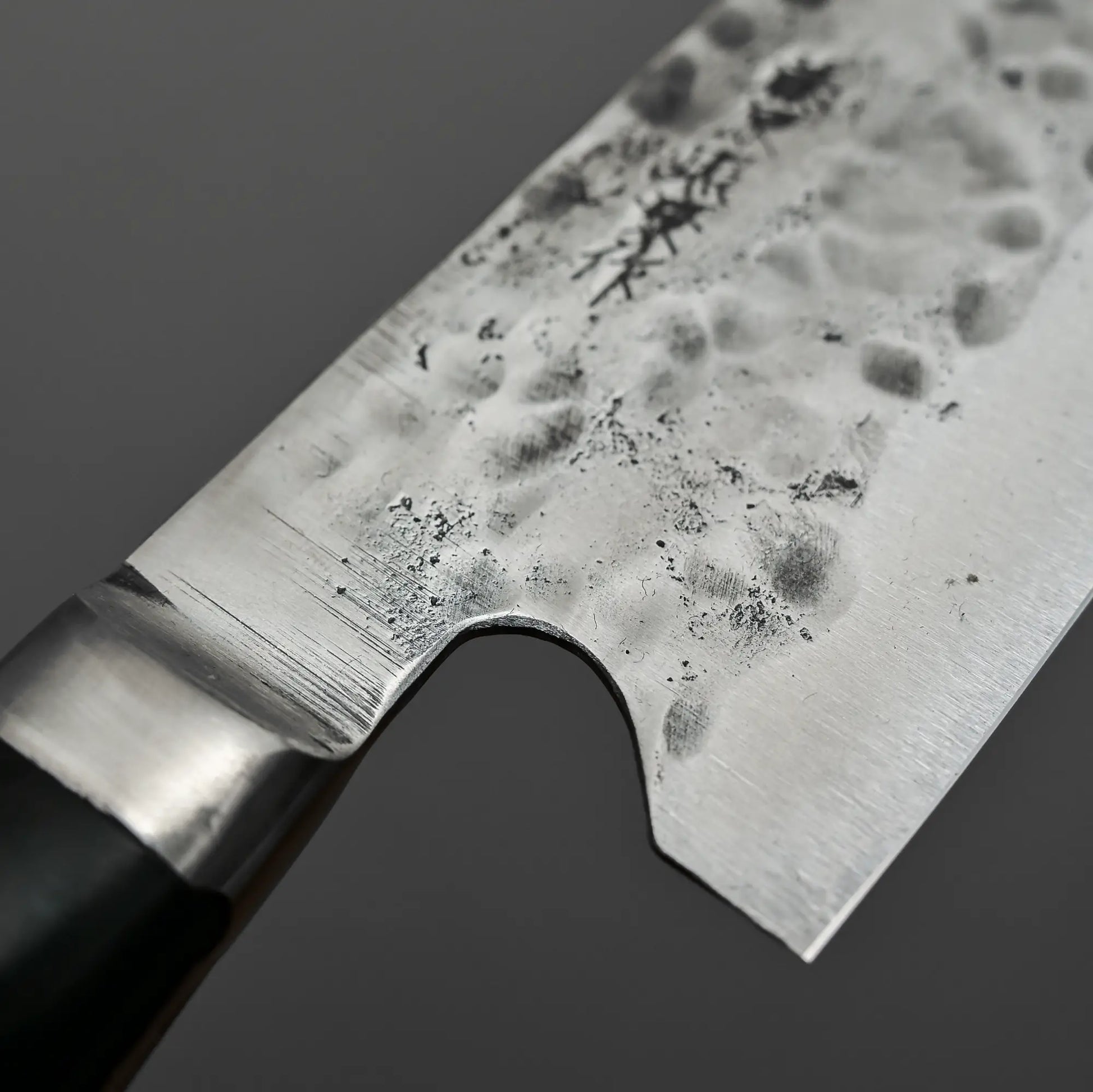 Close-up view of the choil of 240mm Teruyasu Fujiwara Maboroshi shirogami#1 gyuto knife