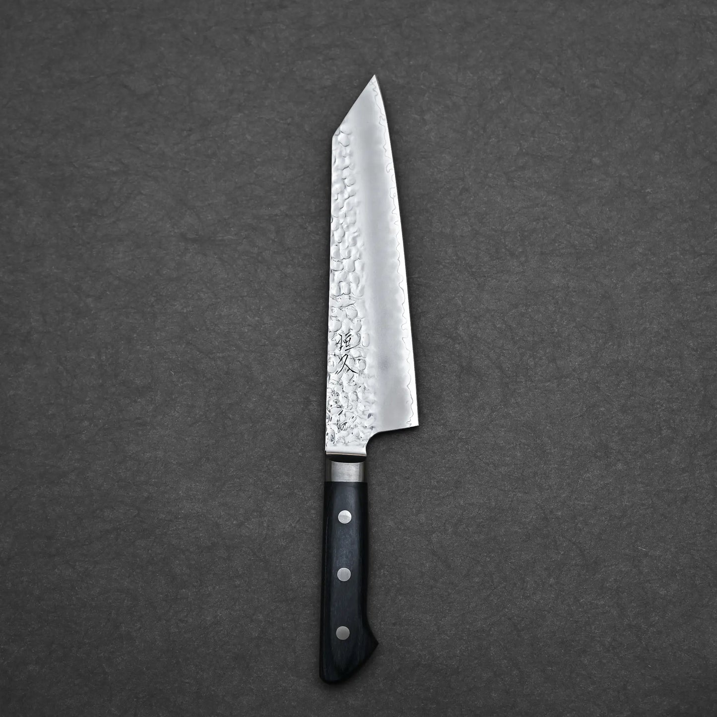 195mm Tsunehisa knife tsuchime AUS10 kiritsuke santoku displaying complete blade silhouette 