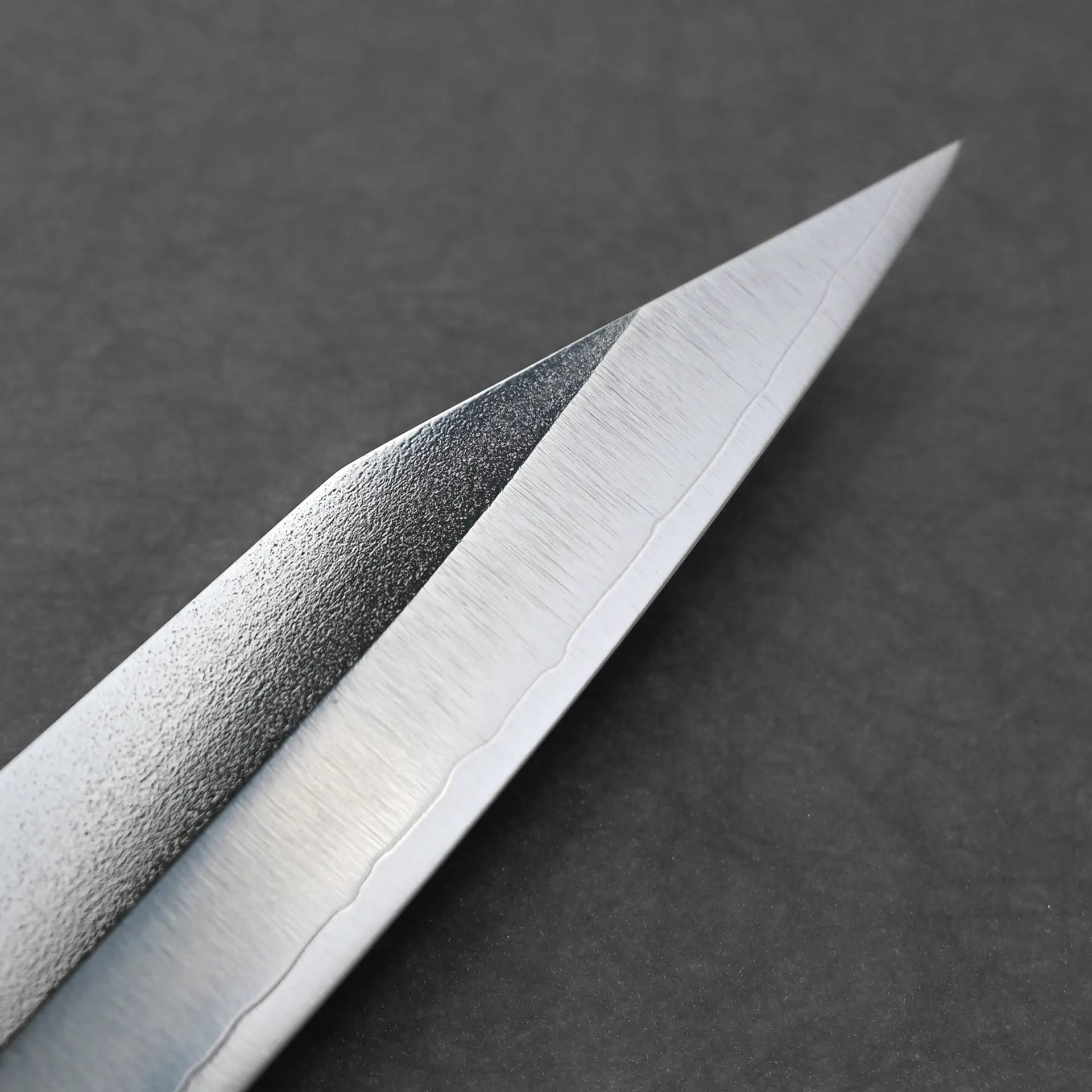 Jiro Tsuchime Yo Sujihiki 210mm Tagayasan Handle (#485